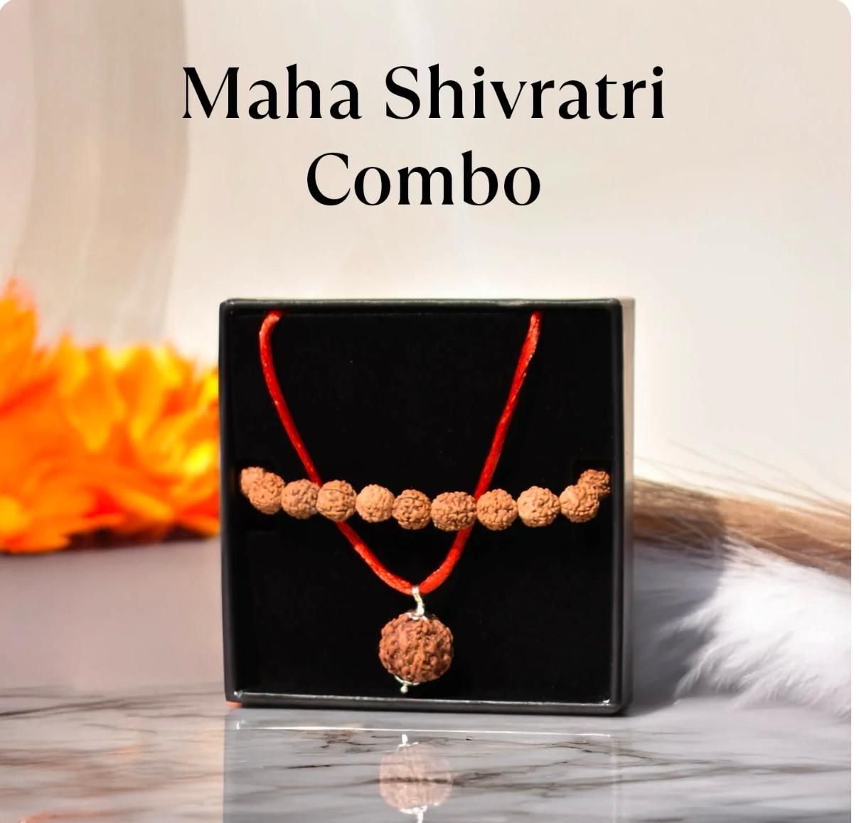 5 Mukhi Rudraksha Bracelet Combo