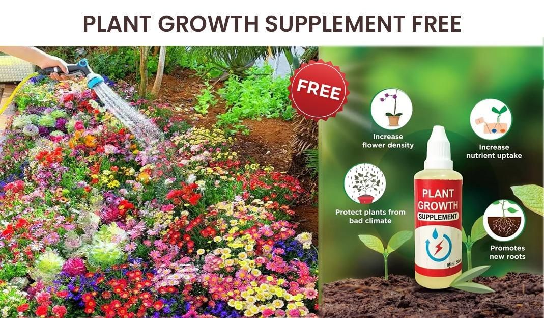 100 Flower Seeds + FREE Plant Growth Supplement