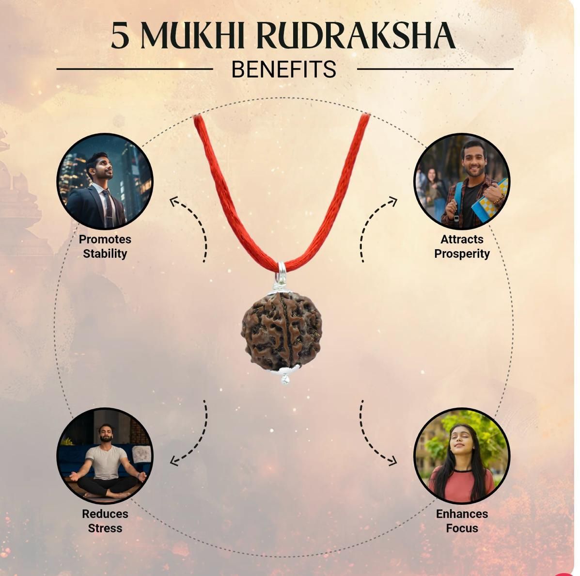 5 Mukhi Rudraksha Bracelet Combo