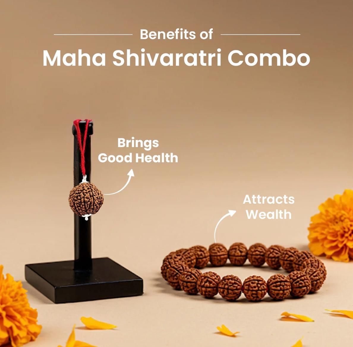 5 Mukhi Rudraksha Bracelet Combo