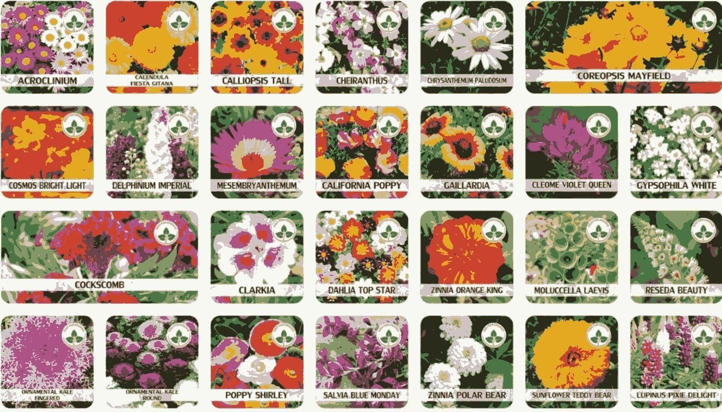 100 Flower Seeds + FREE Plant Growth Supplement