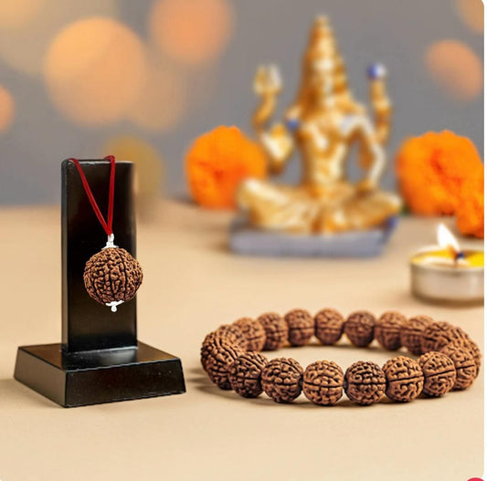 5 Mukhi Rudraksha Bracelet Combo