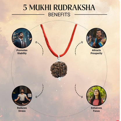 5 Mukhi Rudraksha Bracelet Combo